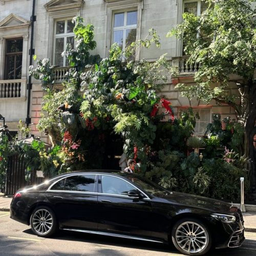 IMG_6066-scaled-e1695398724838-650x650